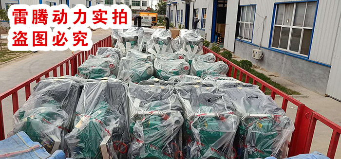 雷腾发电机组发货图片