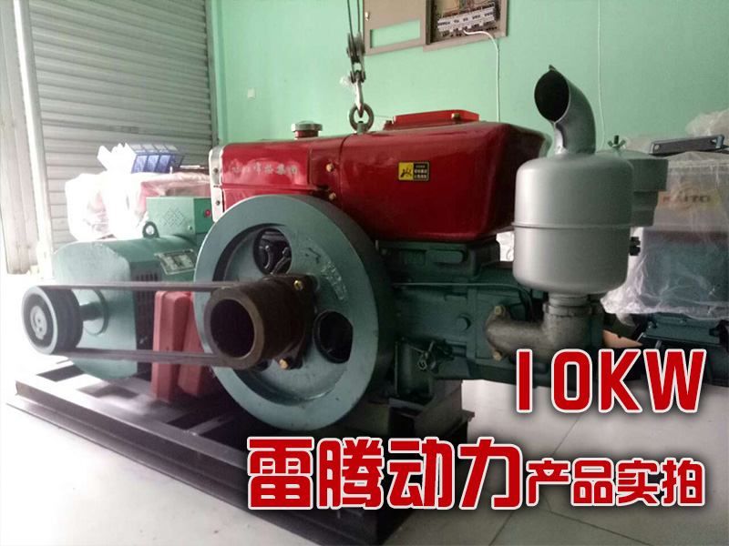 雷腾动力10kw柴油发电机组