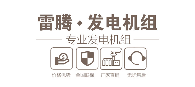 雷腾动力发电机组 雷腾动力发电机组