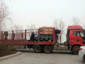 8台K4100ZD柴油机发往“冰城”